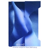 Squid - Terrestrial Changeover Blues (2007 – 2012)