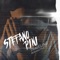 Traveling - Stefano Pini lyrics