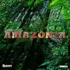 Stream & download Amazonia - Single