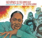 Memphis Heat artwork