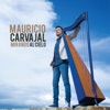 Mauricio Carvajal - Vuelo Blanco de Gaviota