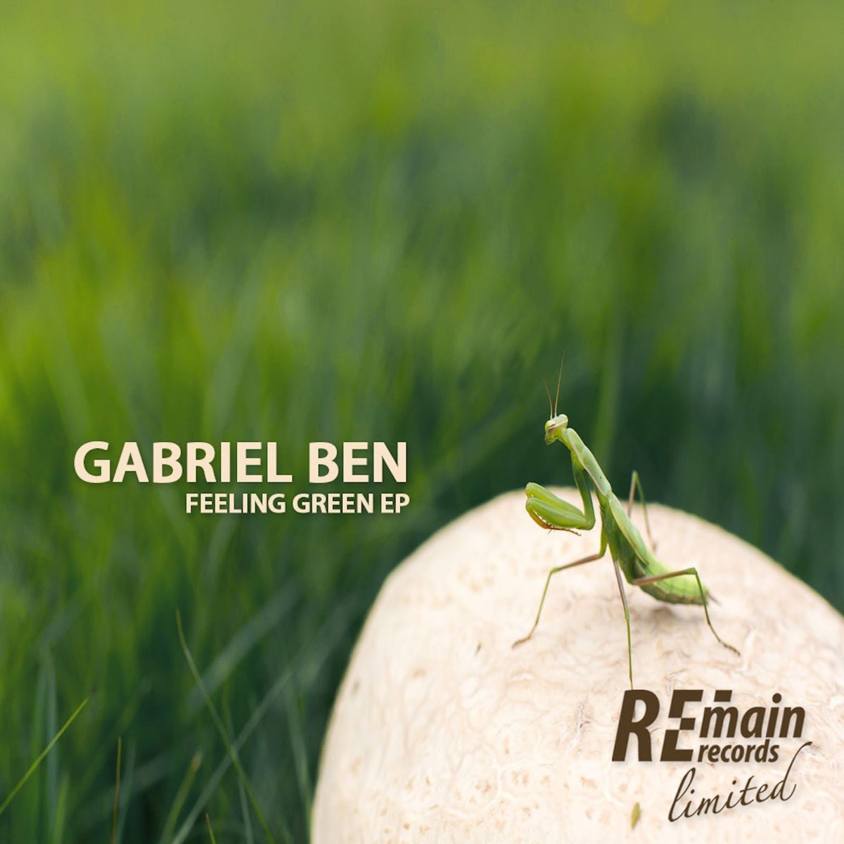 Ben feel. Feeling Green. Зеленый Ep. Feel Green.