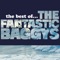The Best Of... The Fantastic Baggys