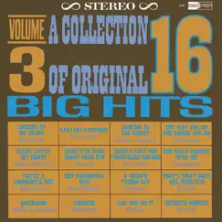 A Collection of 16 Original Big Hits, Vol. 3 by Various Artists album reviews, ratings, credits