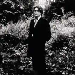 L'imprudence - Alain Bashung