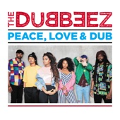 Peace, Love & Dub artwork
