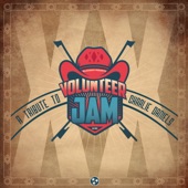 Volunteer Jam XX: A Tribute To Charlie Daniels (Live) artwork