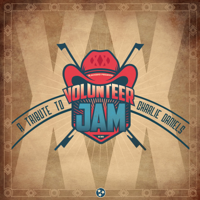 Various Artists - Volunteer Jam XX: A Tribute To Charlie Daniels (Live) artwork