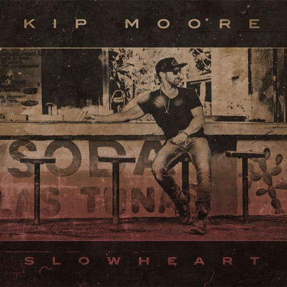 Cover artwork for Plead the Fifth