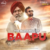 The Blessings of Baapu artwork