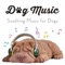 Relax My Dog - Sleepy Dogs lyrics
