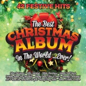 The Best Christmas Album In the World …Ever artwork
