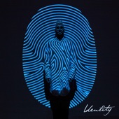 Identity (Deluxe Edition) artwork