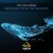 Message from the Whales - Tim van Werd lyrics