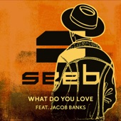 What Do You Love (feat. Jacob Banks) artwork
