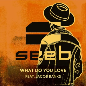 What Do You Love (feat. Jacob Banks) - Single