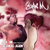 Aldrig Igen (Instrumental) artwork