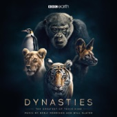 Dynasties Opening Titles artwork