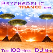 Psychedelic Trance 2018 Top 100 Hits DJ Mix artwork