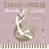 Zamaan Ya Sukkar - Exotic Love Songs and Instrumentals from the Egyptian 60's artwork