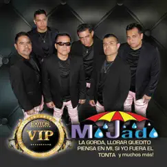 Éxitos VIP by Grupo Mojado album reviews, ratings, credits