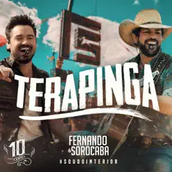 Terapinga (Ao Vivo) - Single - Fernando e Sorocaba