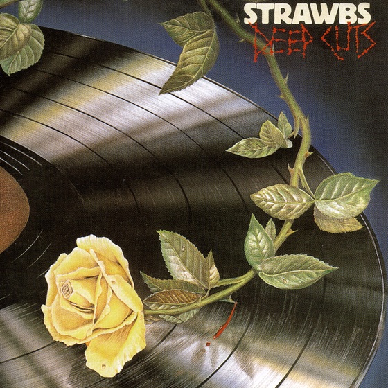 Cover artwork for Simple Visions