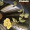 Simple Visions - Strawbs lyrics
