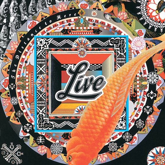 Cover artwork for The Distance