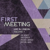 First Meeting: Live in London, Vol. 1 (feat. Jeff Williams) artwork