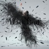 Aimer - Black Bird