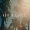 Audio Karate - Single