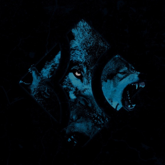 Cover artwork for Wolfpack