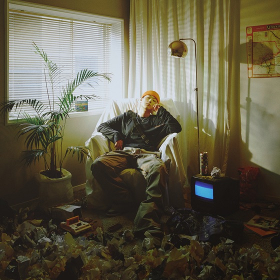 Cover artwork for harry's question