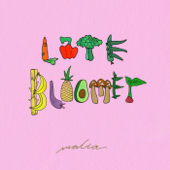 Late Bloomer cover