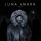 Atât De Simplu - Luna Amară lyrics