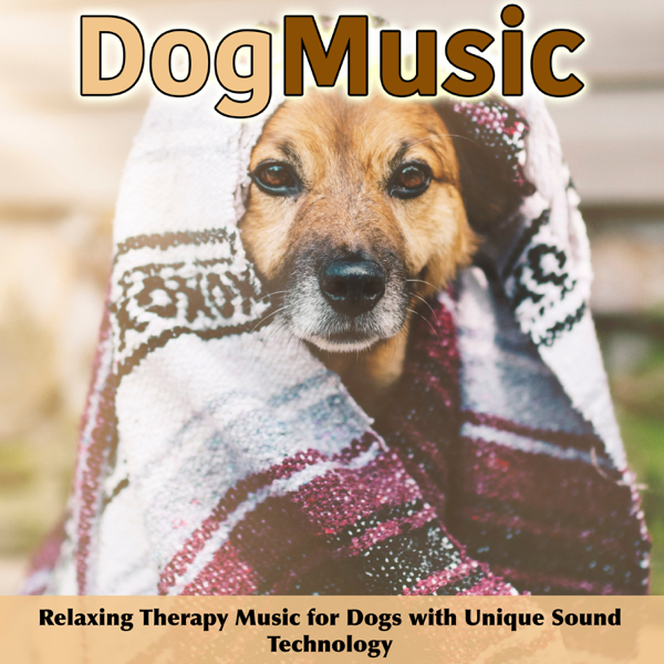 Dog music dreams and sales relaxmydog soothing music for dogs