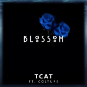 Blossom (feat. Colture) artwork