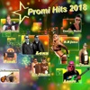 Promi Hits 2018