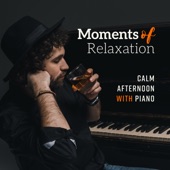Moments of Relaxation - Calm Afternoon with Piano artwork