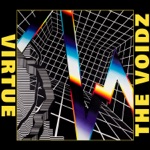 Leave It In My Dreams by The Voidz