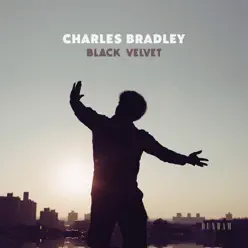 I Feel a Change - Single - Charles Bradley