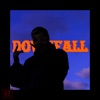 Downfall - Single, 2017