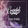 On Fire (feat. Noah Rauch) - Single album lyrics, reviews, download