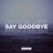 Say Goodbye (Headhunterz Radio Edit) - Crystal Lake lyrics