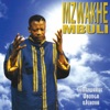 Umzwakhe Ubonga Ujehova, 2015