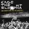 Japanese Buffalo - Cage the Elephant lyrics