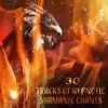 30 Tracks of Hypnotic Shamanic Chants: Healing Music for the Soul, Chakra Cleansing, Native American Drums, Relaxation & Meditation album lyrics, reviews, download