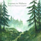 Journey to Nidaros artwork