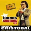 30 Años, Iconos Chilenos, Vol. 5, 2012